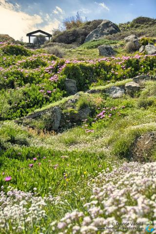 The path leading to the Aegean sea