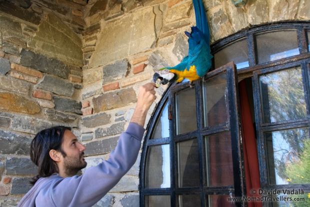Davide making friends and risking his fingers to feed Tardu