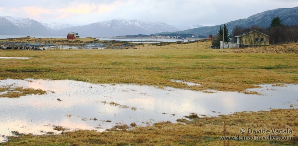 Peaceful Afternoon in Hol i Tjeldsund