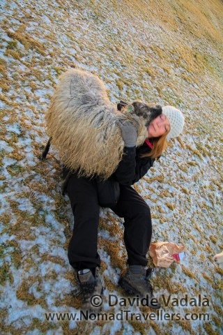 Halldis playing with her favourite sheep
