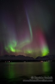 northern lights in Norway