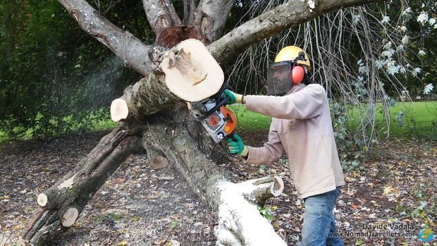 Davide using the chainsaw