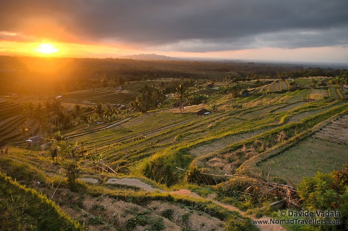 Sunrise in Jatiluwih rice fields in Bali - Nomad Travellers