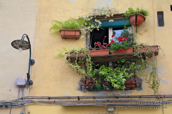 Window in Lucca, Italy
