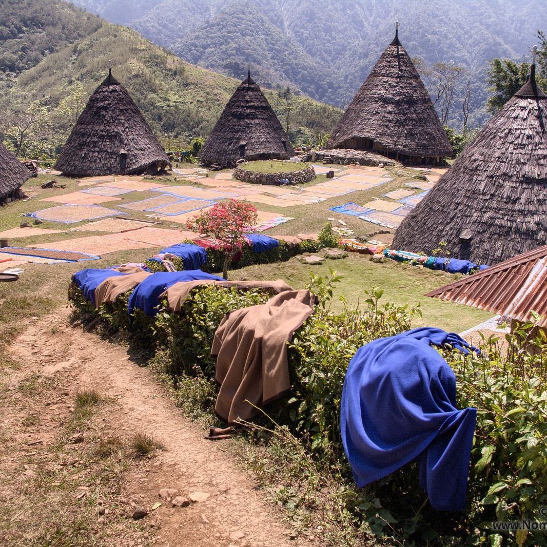 Visiting Wae Rebo in Flores Island: our experience - Nomad Travellers