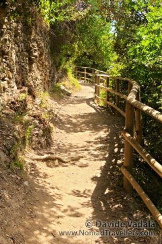 Hiking path toward Vernazza