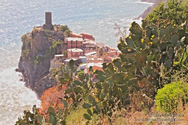 Vernazza behind a Cactus (Prickly Pears)