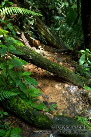 The trail 9A is neglected