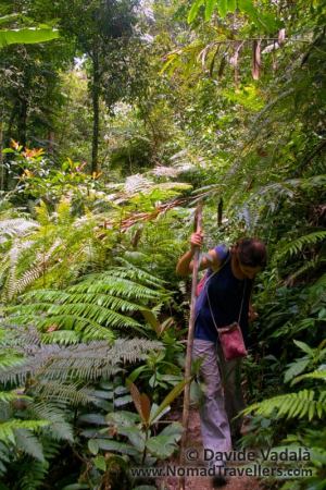 Just a glimse of the narrow path 9A