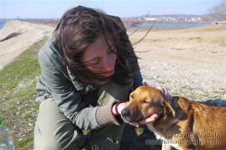 The friendly dog who cured my motion sickness