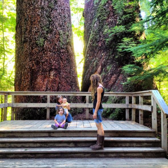 The family enjoying Mt Rainer
