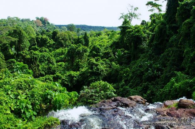 Luxurious vegetation fron the top of Inar Waterfall, West Kutai