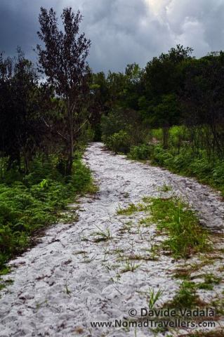 The white sand in Kersik Luway National Park