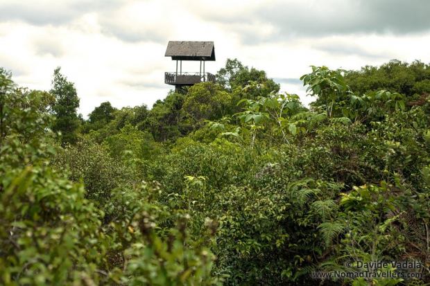 Watching tower over the vegetation in Kersik Luway National Park