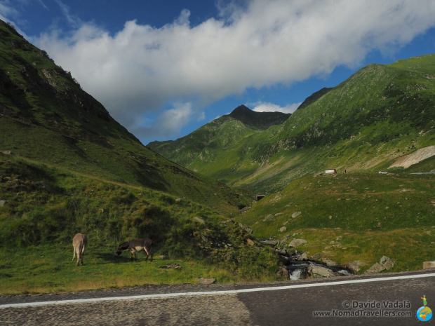 Photo taken on the way to Balea Lac