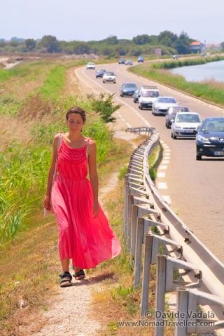 Oti walking in France next to a busy road