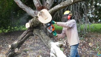 Davide using the chainsaw