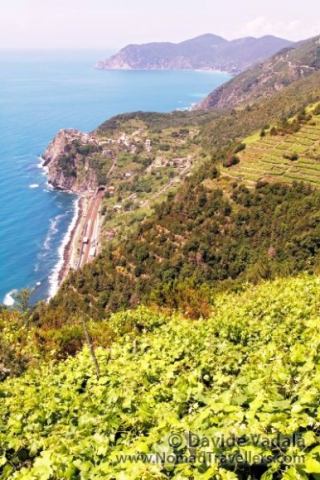 Cinque Terre coast