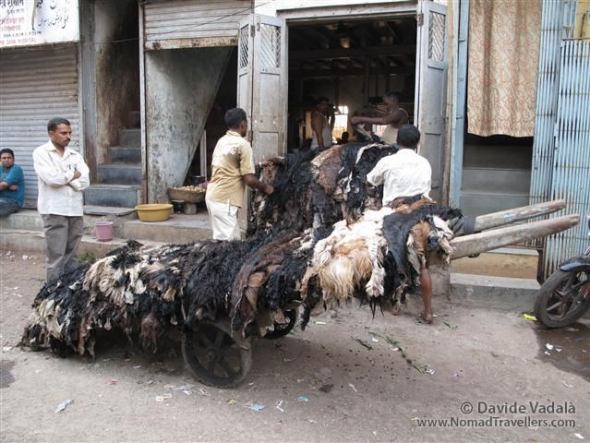 Skins of goat are unloaded and broght inside the workshop. The industry of tanning is one of the oldest in Darhavi slum. 042 Mumbai-Bombay-Dharavi-Slum India 3918