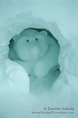 A cub of polar bear shyly appear from the wall 005 Ice-Hotel-Jukkasjarvi-Sweden 7159